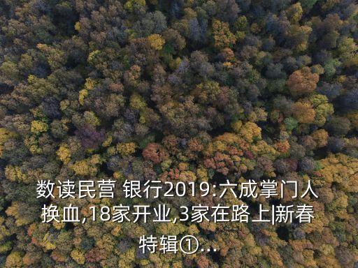 數(shù)讀民營 銀行2019:六成掌門人換血,18家開業(yè),3家在路上|新春特輯①...