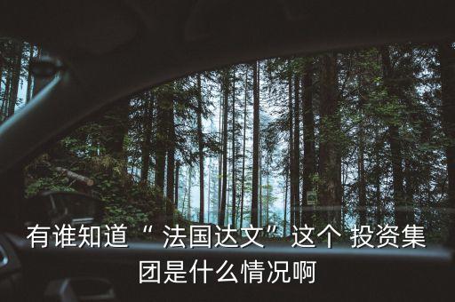 有誰(shuí)知道“ 法國(guó)達(dá)文”這個(gè) 投資集團(tuán)是什么情況啊