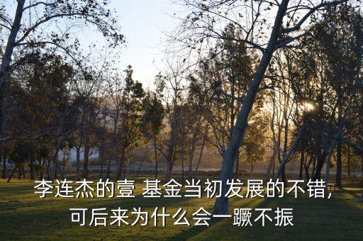  李連杰的壹 基金當初發(fā)展的不錯,可后來為什么會一蹶不振