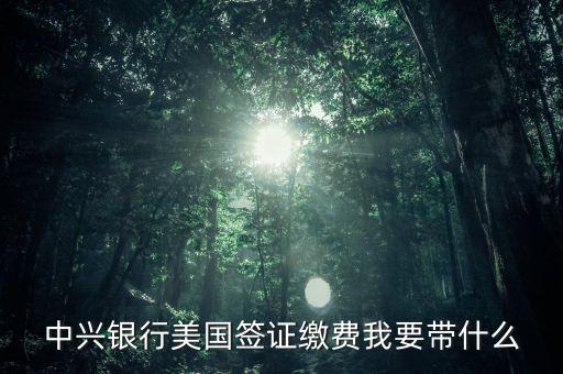 中興銀行美國簽證繳費我要帶什么