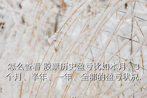 怎么查看 股票歷史盈虧比如本月、3個(gè)月、半年、一年、全部的盈虧狀況...