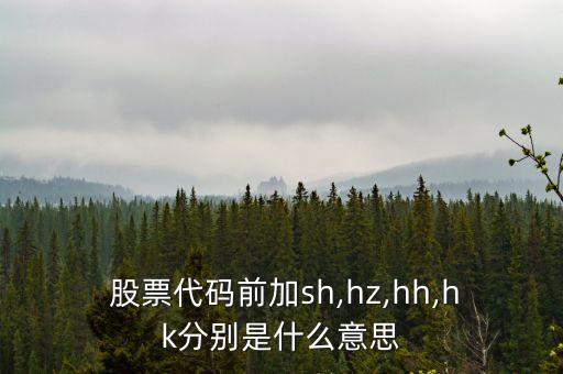  股票代碼前加sh,hz,hh,hk分別是什么意思