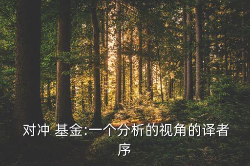  對沖 基金:一個分析的視角的譯者序