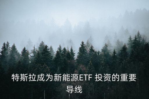 特斯拉成為新能源ETF 投資的重要導(dǎo)線