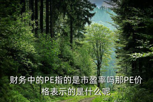 財(cái)務(wù)中的PE指的是市盈率嗎那PE價(jià)格表示的是什么呢