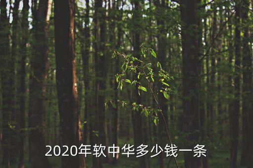 2020年軟中華多少錢(qián)一條