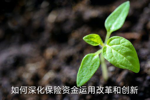 如何深化保險資金運用改革和創(chuàng)新