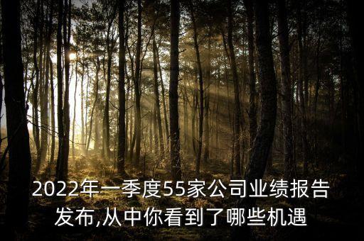 2022年一季度55家公司業(yè)績報告發(fā)布,從中你看到了哪些機(jī)遇