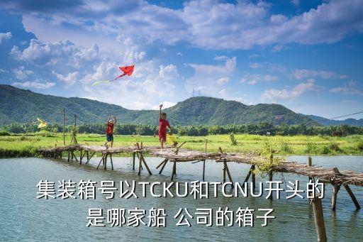 集裝箱號以TCKU和TCNU開頭的是哪家船 公司的箱子