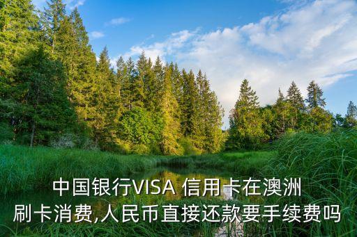 中國銀行visa信用卡境外刷卡,visa信用卡中國銀行境外消費(fèi)怎么還款