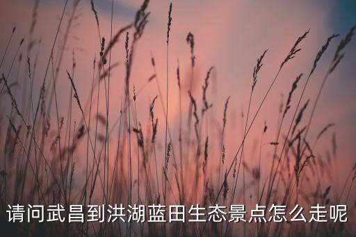 請(qǐng)問武昌到洪湖藍(lán)田生態(tài)景點(diǎn)怎么走呢