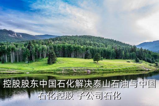 控股股東中國石化解決泰山石油與中國石化控股 子公司石化