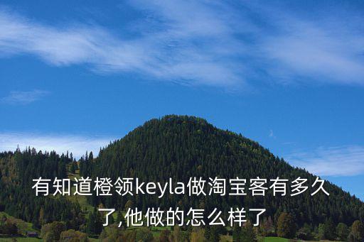 有知道橙領keyla做淘寶客有多久了,他做的怎么樣了