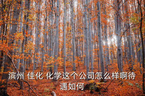 濱州 佳化 化學(xué)這個(gè)公司怎么樣啊待遇如何