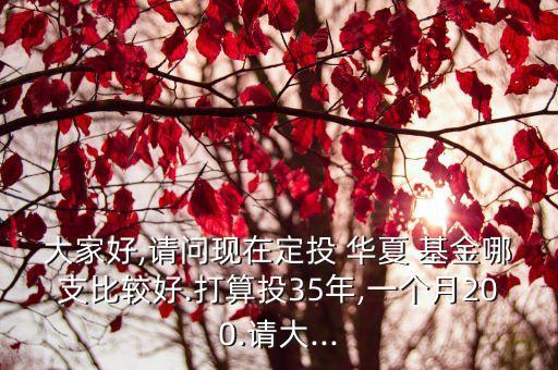 大家好,請(qǐng)問現(xiàn)在定投 華夏 基金哪支比較好.打算投35年,一個(gè)月200.請(qǐng)大...