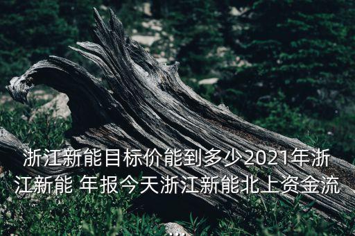 浙江新能目標(biāo)價能到多少2021年浙江新能 年報今天浙江新能北上資金流...