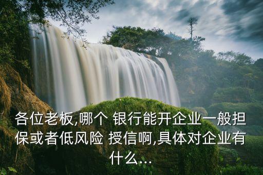 各位老板,哪個(gè) 銀行能開企業(yè)一般擔(dān)?；蛘叩惋L(fēng)險(xiǎn) 授信啊,具體對(duì)企業(yè)有什么...