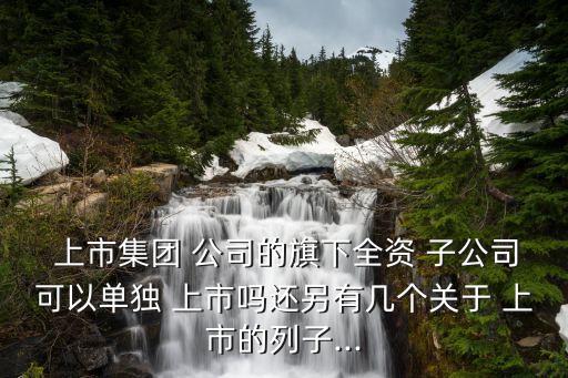  上市集團(tuán) 公司的旗下全資 子公司可以單獨 上市嗎還另有幾個關(guān)于 上市的列子...