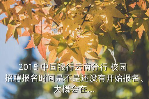 2015 中國銀行云南分行 校園 招聘報名時間是不是還沒有開始報名、大概會在...