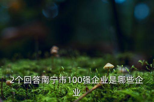 2個回答南寧市100強(qiáng)企業(yè)是哪些企業(yè)