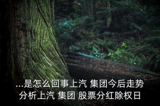 ...是怎么回事上汽 集團(tuán)今后走勢分析上汽 集團(tuán) 股票分紅除權(quán)日