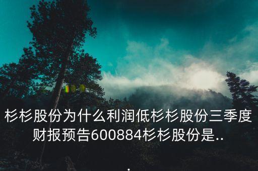 杉杉股份為什么利潤低杉杉股份三季度財報預告600884杉杉股份是...