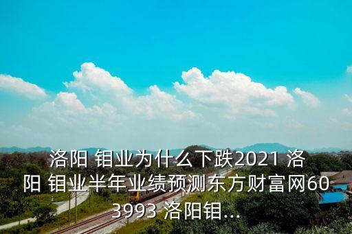  洛陽 鉬業(yè)為什么下跌2021 洛陽 鉬業(yè)半年業(yè)績預(yù)測東方財富網(wǎng)603993 洛陽鉬...