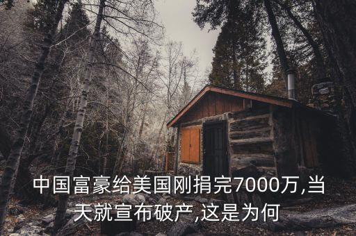 中國(guó)富豪給美國(guó)剛捐完7000萬,當(dāng)天就宣布破產(chǎn),這是為何