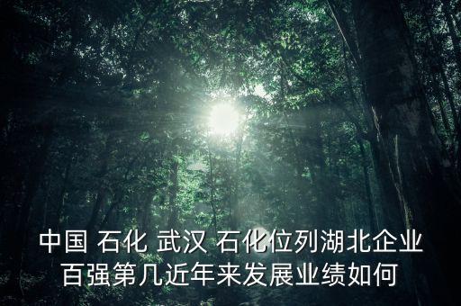 中國 石化 武漢 石化位列湖北企業(yè)百強(qiáng)第幾近年來發(fā)展業(yè)績?nèi)绾? class=