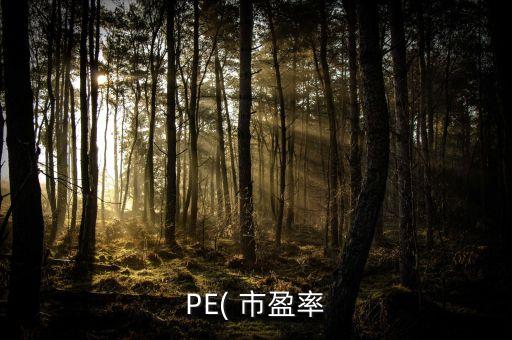 PE( 市盈率