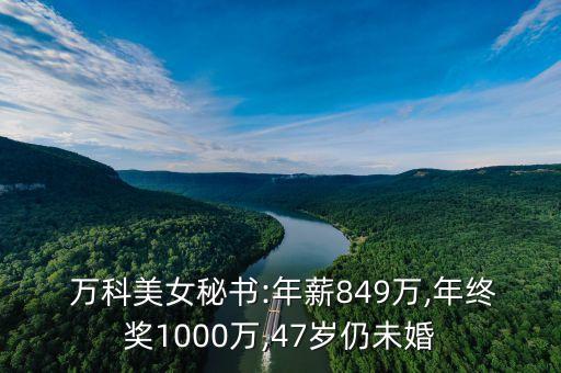  萬科美女秘書:年薪849萬,年終獎(jiǎng)1000萬,47歲仍未婚