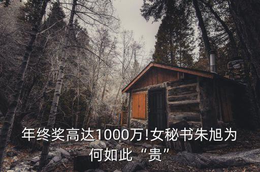 年終獎高達(dá)1000萬!女秘書朱旭為何如此“貴”