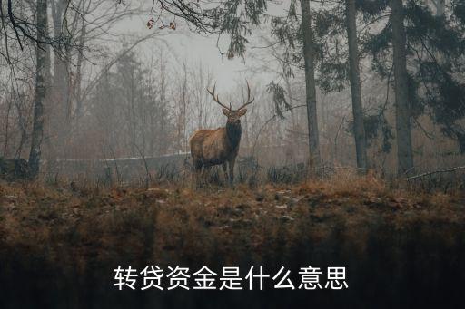 轉(zhuǎn)貸資金是什么意思