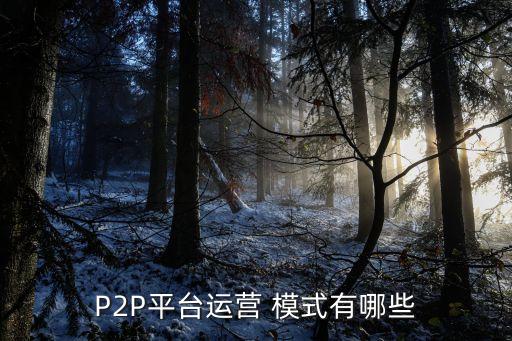 P2P平臺(tái)運(yùn)營(yíng) 模式有哪些