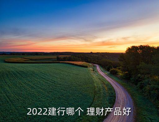 2022建行哪個(gè) 理財(cái)產(chǎn)品好