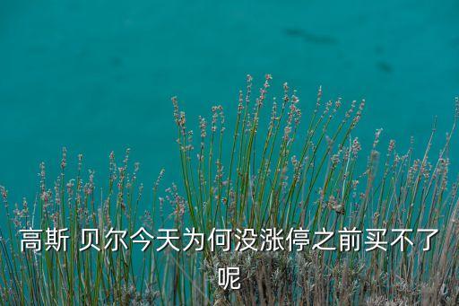 高斯 貝爾今天為何沒(méi)漲停之前買(mǎi)不了呢