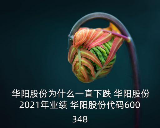  華陽股份為什么一直下跌 華陽股份2021年業(yè)績 華陽股份代碼600348