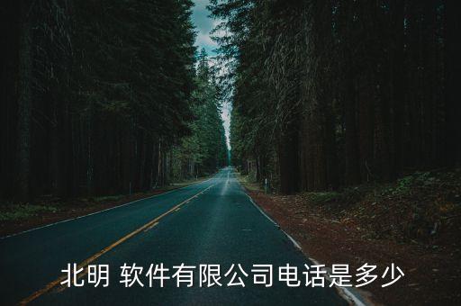  北明 軟件有限公司電話是多少