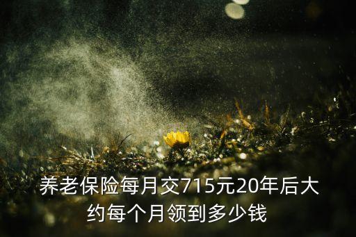  養(yǎng)老保險(xiǎn)每月交715元20年后大約每個(gè)月領(lǐng)到多少錢(qián)