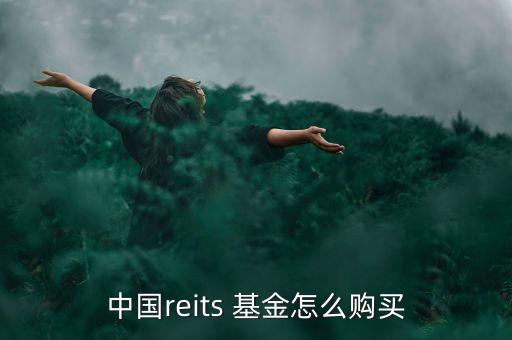 中國reits 基金怎么購買