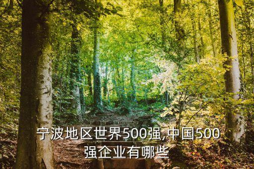  寧波地區(qū)世界500強(qiáng),中國(guó)500強(qiáng)企業(yè)有哪些