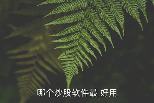 哪個(gè)炒股軟件最 好用