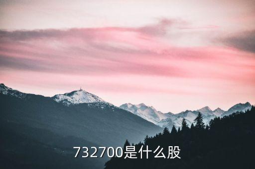 732700是什么股