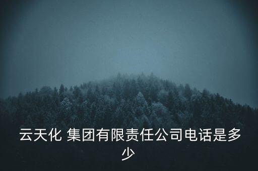 云南云天化集團公章