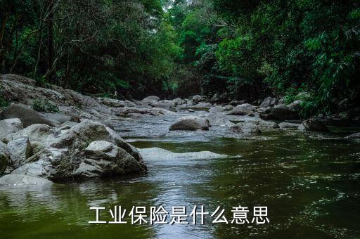 工業(yè)保險是什么意思