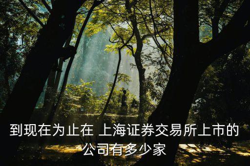 上海新通聯(lián),上海通聯(lián)支付客服電話(huà)