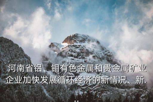  河南省鋁、鉬有色金屬和貴金屬礦業(yè)企業(yè)加快發(fā)展循環(huán)經(jīng)濟(jì)的新情況、新...