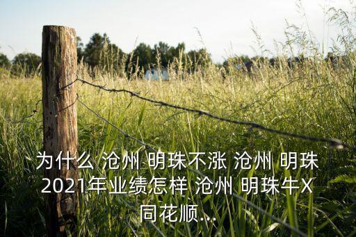 為什么 滄州 明珠不漲 滄州 明珠2021年業(yè)績(jī)?cè)鯓?滄州 明珠牛X同花順...