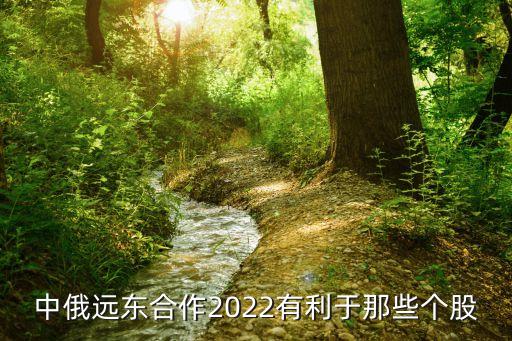 中俄遠(yuǎn)東合作2022有利于那些個股