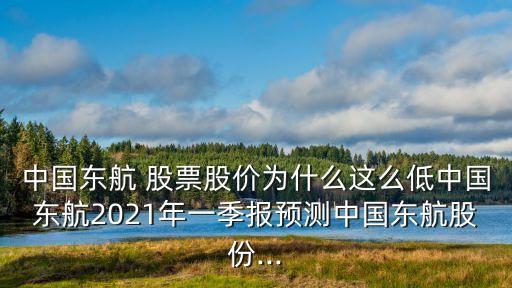 中國(guó)東航 股票股價(jià)為什么這么低中國(guó)東航2021年一季報(bào)預(yù)測(cè)中國(guó)東航股份...